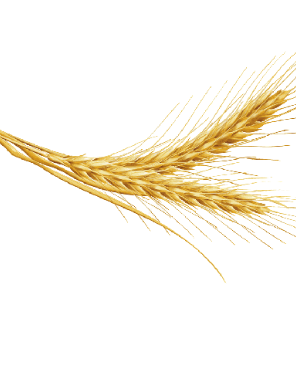 grain-bg-left